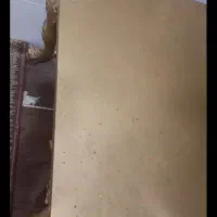 میزجلومبلی