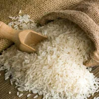 برنج محلی چغلوندی رسید(طارم کشت سال)