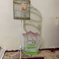 دو عدد قفس کلاسیک