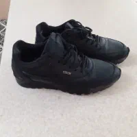 کفش سایز ۳۸