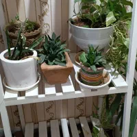 استند گل 2 طبقه