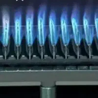 24هزار فن دار