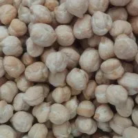 نخود درجه یک