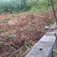 زمین ۵۱۵ متری برآسفالت و طرح هادی در آستانه