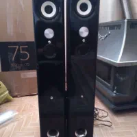 باند با صدای حرفه ای