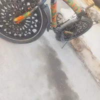 دوچرخه 26 المپیا|دوچرخه، اسکیت، اسکوتر|باوی, |دیوار