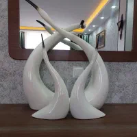 قوی زیبا
