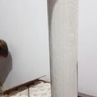 کاغذ دیواری|مصالح و تجهیزات ساختمان|بندر ماهشهر, |دیوار