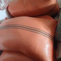 جو هاشمی سورتینگ شده