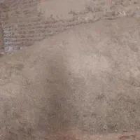 ۲ تن یونجه خورد شده