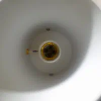 چراغ خواب|چراغ خواب و آباژور|تهران, مولوی|دیوار