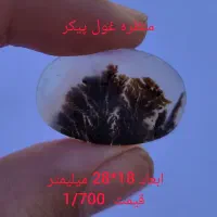 شجرستان حمید