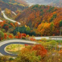 زمین کشاورزی با تغییرکاربری