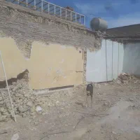 تخریب و کنده کاری ساختمان