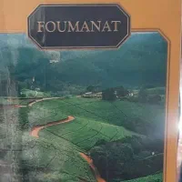 چای ممتاز فومنات