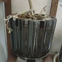 چند عدد گلدان با خاک سالم و یه پایه گل پله ای