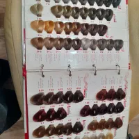 آلبوم رنگ|آرایشی، بهداشتی، درمانی|رشت, انصاری|دیوار