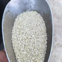 برنج عنبربو محلی