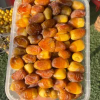 فروش رطب به میزان محدود