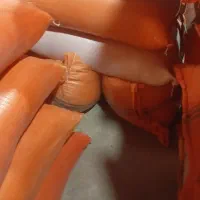 برنج درجه یک هاشمی