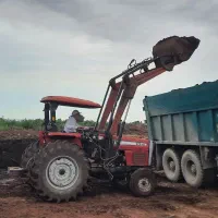 کود حیوانی گاوداری صنعتی|خدمات باغبانی و درختکاری|کردکوی, |دیوار