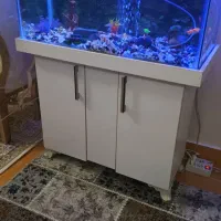 آکواریوم بزرگ|ماهی|اردبیل, |دیوار