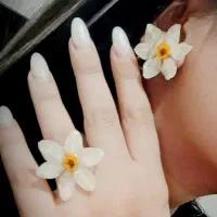 ساعت|گل و گیاه طبیعی|رشت, لاکان شهر|دیوار