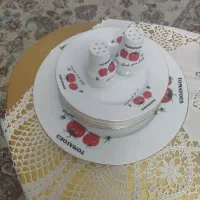 ظروف گل پنبه و سرامیک وغیره