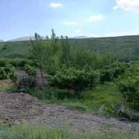 باغ سیب|فروش زمین و ملک کلنگی|مشگین شهر, |دیوار