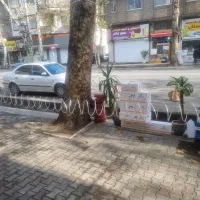 فروش و نصب ریسه شلنگی با کمترین و ارزان ترین قیمت