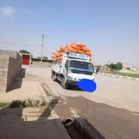 کاه|خدمات باغبانی و درختکاری|شوشتر, |دیوار