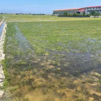 زمین صنعتی جنب شهرک صنعتی بابلسر