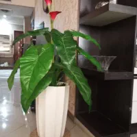 گلدان مصنوعی