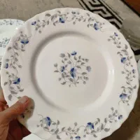 آرکوپال اماراتی|ظروف سرو و پذیرایی|اصفهان, ملاصدرا|دیوار