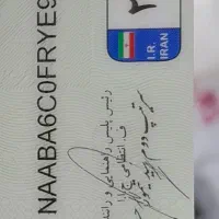 کارسوخت
