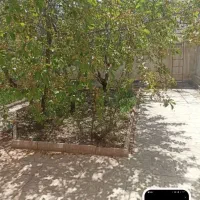 اجاره ساختمان ۱۱۰متر حضرت پور