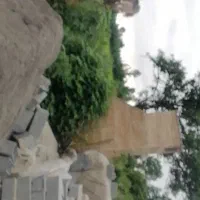 فروش یک قطعه زمین در شمال کشور