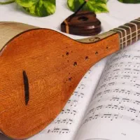 تدریس خصوصی سه تار نوازی صداسازی و آواز ایرانی