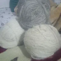 بند محلی