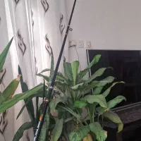 چوب وچرخ ماهیگیری|ماهیگیری|فولادشهر, B2|دیوار