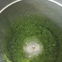 آبلیمو و آبغوره رب  گوجه گیری و سبزی خردکنی|خوردنی و آشامیدنی|اصفهان, باتون|دیوار