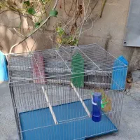 ‌قفس پرنده  برای مرغ ‌عشق  قناری‌  عروس هلندی