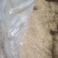 کاه گندم برای کاه گل|لوازم جانبی حیوانات|شیراز, حسن آباد|دیوار