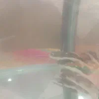 ماهی ردتیل و کوی