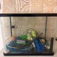 آکواریوم با لوازم کامل