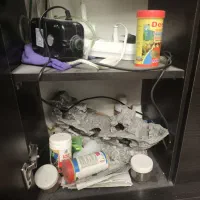 آکواریوم با لوازم وغذای ماهی|ماهی|تهران, افسریه شمالی|دیوار