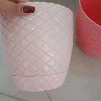 گلدان پلاستیکی|گل و گیاه طبیعی|تهران, جوادیه|دیوار