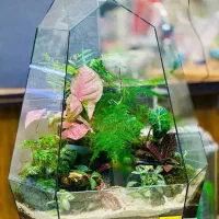 تراریوم،گل،روز مادر،هدیه