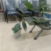 مغازه-فروشی-بازار-میثم-طبقه-اول