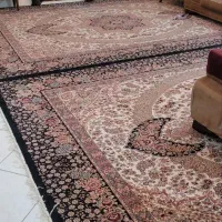 سه تخته فرش شبیه هم ۱۲متری